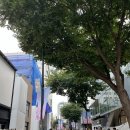 명동중일회관 이미지