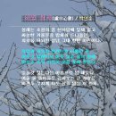 박연순 이미지
