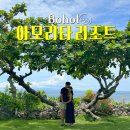 스위트 9-2 | 보홀 ‘아모리타 리조트’ 주니어 스위트 내돈내산 2박후기 수영장 포토존까지 !