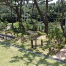 여남초등학교 이미지