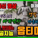 테슬라 로봇 옵티머스 최신영상 이미지