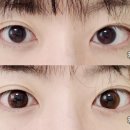 클래시아원