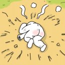 더얼반헤어 이미지