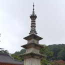 상주 황령사 아미타후불탱 이미지