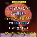 보드람 - 부평구 세월천로 35 | 보드람