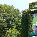 명덕유치원 이미지