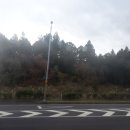 강원도 횡성군 횡성읍 앞들서1로 이미지