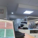배스킨라빈스야탑 | [분당 데이트코스] 헌혈의집 야탑점, 117번째 따뜻한 생명 나눔과 꼭 알아야 할 헌혈 장점 🩸