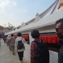 카르마코리아 이미지