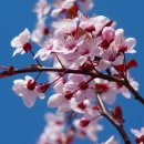 진동종합복지관 이미지