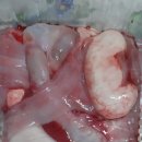 흑산도홍어톡톡