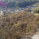 상지석교차로 이미지