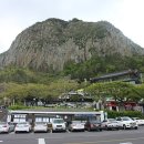 석곡(화산) 이미지