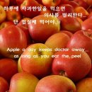 도레미푸드 이미지