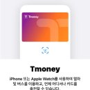 티머니페이_지하철