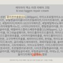 케이아이개발