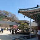 통도사 대웅전 및 금강계단 | 경남 양산 통도사 나들이 홍매화 우담바라 사리탑까지 구경