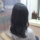 봄;보다 헤어살롱