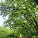 시골휴게점 이미지