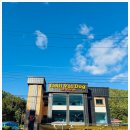 루이비독 | 경기광주애견카페 루이비독 방문 후기