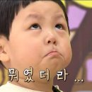 컬러드쟝리 이미지