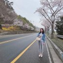 세븐일레븐 부산해운대주공점 | [부산- 해운대,기장 맛집] [기장~달맞이길 벚꽃 드라이브][벚꽃 카페]