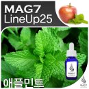 애플민트 네이버블로그