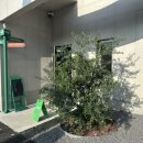 고내경로당 이미지