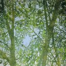 대구문화예술회관 미술관 이미지