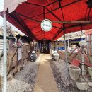 강남로(남) | 양평 등갈비 맛집 캠핑요리추천 살살녹는 등갈비 포장솔직후기<쏭바베큐 양평본점>