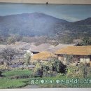 삼화기사식당 이미지