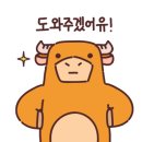에이스홈리페어 이미지