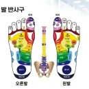 신체발란스운동연구소 이미지