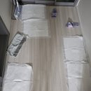 체리쉬펫 | (상품리뷰) 진도믹스 중형견 배변 훈련 배변패드 후기