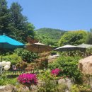 [경기광주카페]카페 르방 |정원이 아름다운 브런치 카페 이미지
