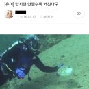 패닝맘이 누군지 찾아보았다 이미지