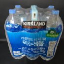 샘물 | 코스트코 가성비 최고 커클랜드 먹는샘물 2L 솔직 후기