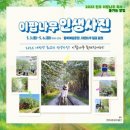 이팝솜사탕 이미지