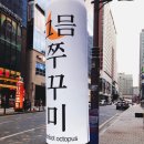 그믐쭈꾸미 이미지