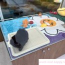 러빙펫 강아지분양 배곧본점 | 시흥 강아지분양 / 러빙펫 시흥점