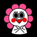동그리 이미지