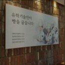 6454 | [천안 맛집] 뚜쥬루과자점 거북이점 천안의 베이커리 맛집