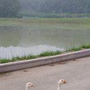 삼주1공인중개사사무소 이미지