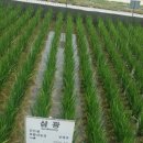 천석농장 이미지