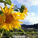 이재혁 농장 이미지