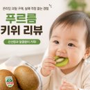 푸르름 | 푸르름 제스프리 그린키위 후기, 16개월 아기도 반한 고당도 키위