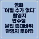 신선동-7 | 영화 어쩔 수가 없다 촬영지 만수집 울진 촛대바위 촬영지 투어팁