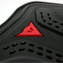 Thorax Chest Shield 이미지