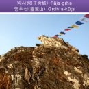 법화한의원 | [법화경] - 간편읽기