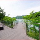 오남호수공원(음악분수)[오남-3] 이미지